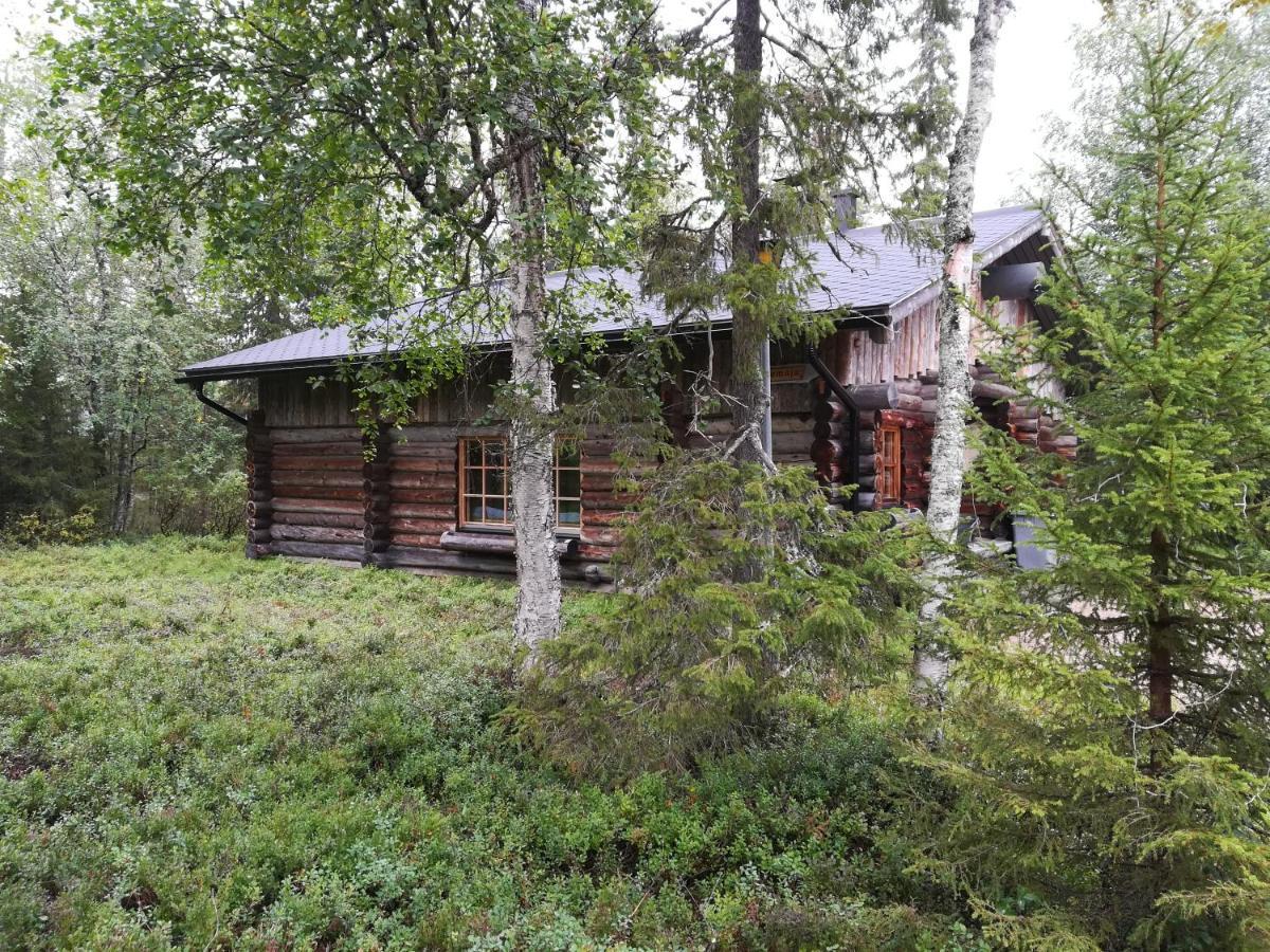 Logwood Villa Restamaja Luosto Exterior photo